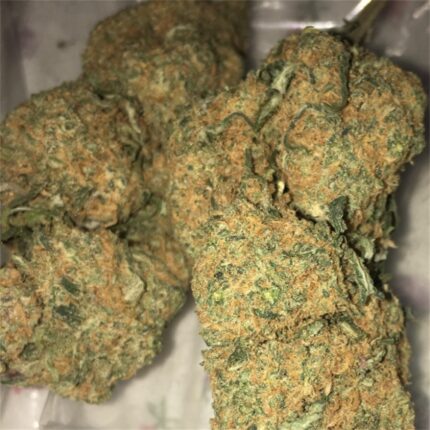 Buy Cherry Pie Online USA, Cherry pie weed price, Where to buy cherry pipe tobacco, cherry pie weed seed, cherry pie weed plant, cherry pie weed effects