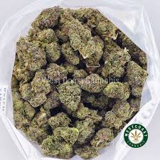 Berry pie cookies weed, Cookies berry pie cart, Berry pie cookies strain, Blueberry pie cookie review, Cookies berry pie strain, buy berry pie cookies