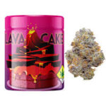 Buy Lava Cake Jungle Boys Online USA