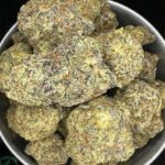 sundae driver weed strain, Is sundae driver a good strain, Sundae driver cartridge near me, sundae driver weed strain allbud, sundae driver effects