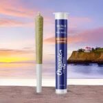 Best cookies pre rolls