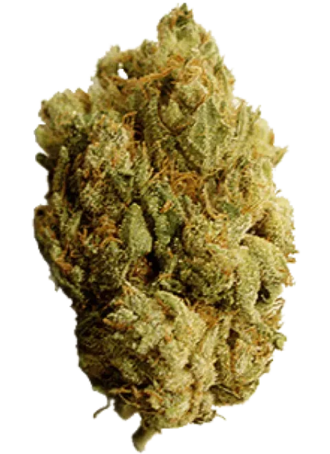 cannabis-weed-bud-slider-11.png